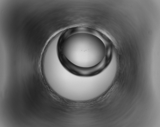 X0000087711316200705111414