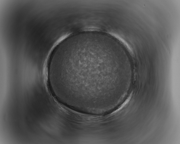 X0000087711317200705111414