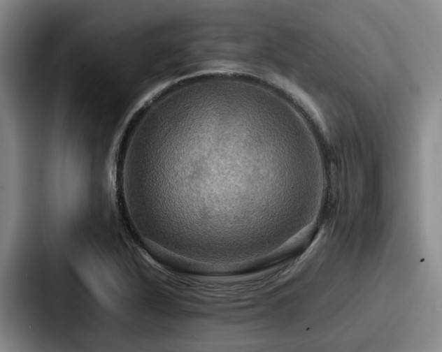 X0000087711318200705111414