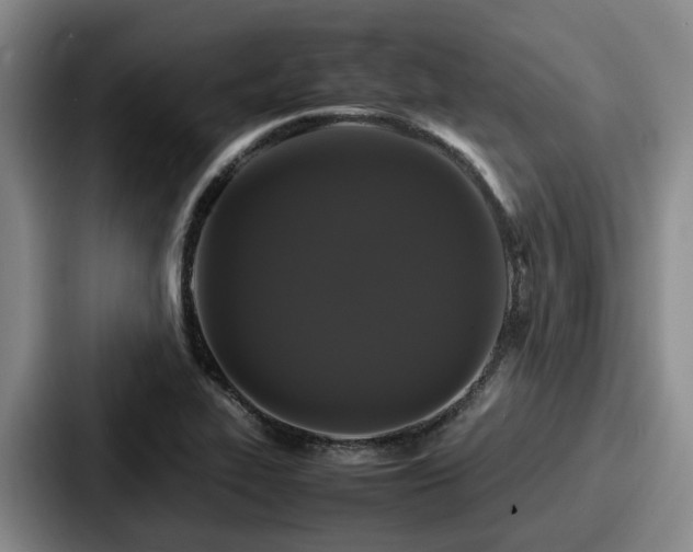 X0000087711319200705111414