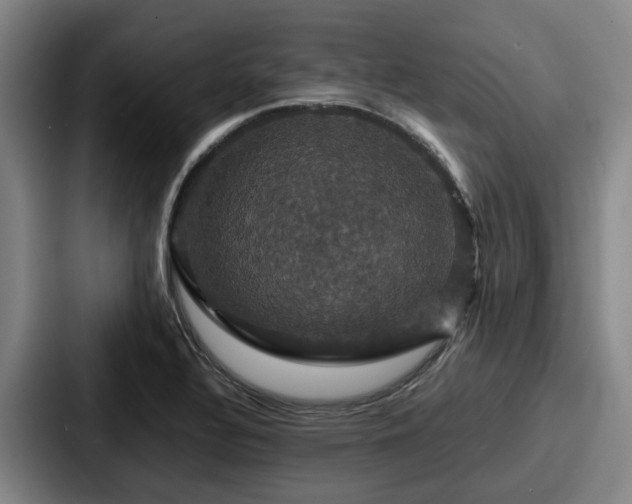 X0000087711320200705111414