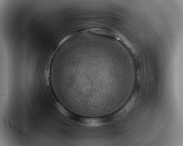 X0000087711321200705111414