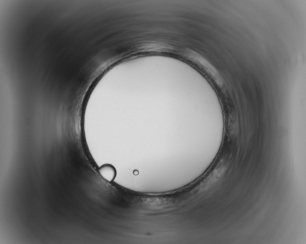 X0000087711322200705111414