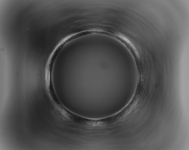 X0000087711323200705111414