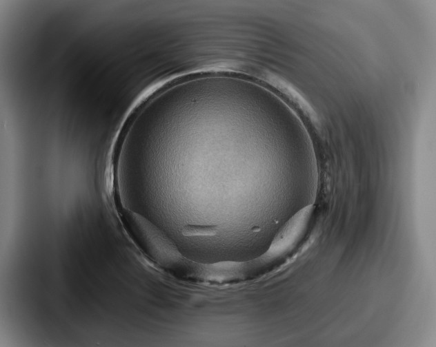 X0000087711324200705111414