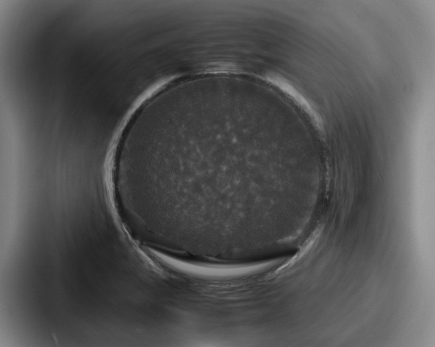 X0000087711325200705111414