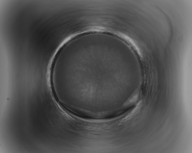 X0000087711326200705111414
