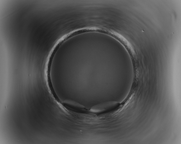 X0000087711327200705111414