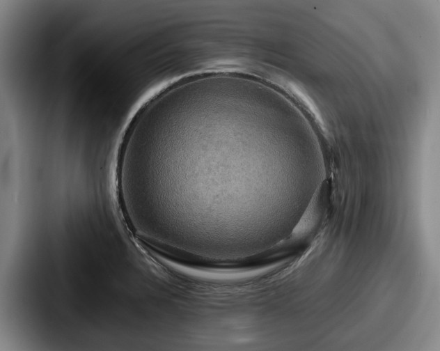X0000087711328200705111414