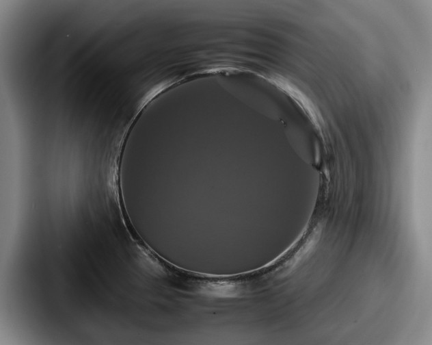 X0000087711329200705111414