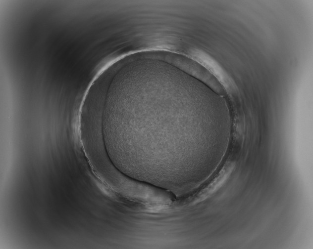 X0000087711332200705111414