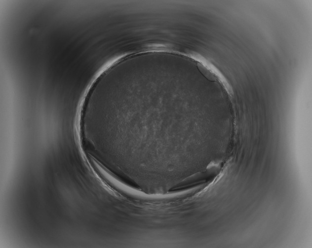 X0000087711333200705111414
