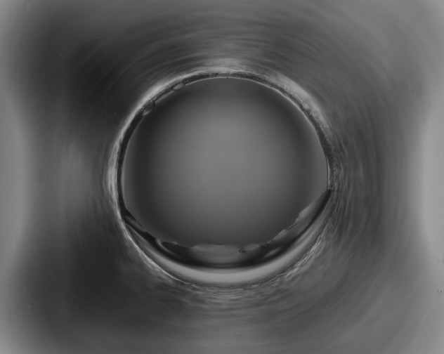 X0000087711334200705111414