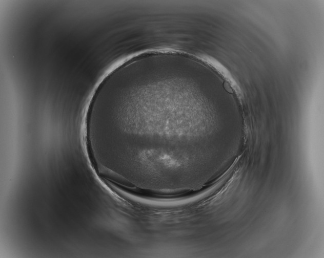 X0000087711335200705111414