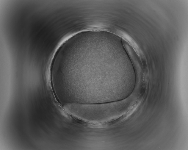 X0000087711336200705111414