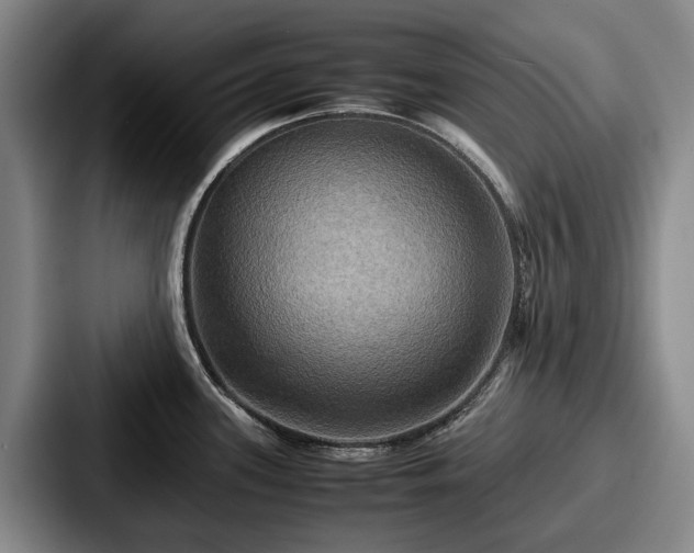 X0000087711339200705111414