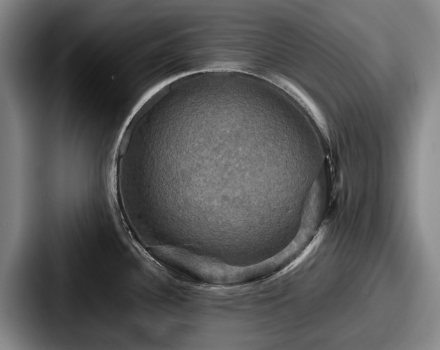 X0000087711340200705111414