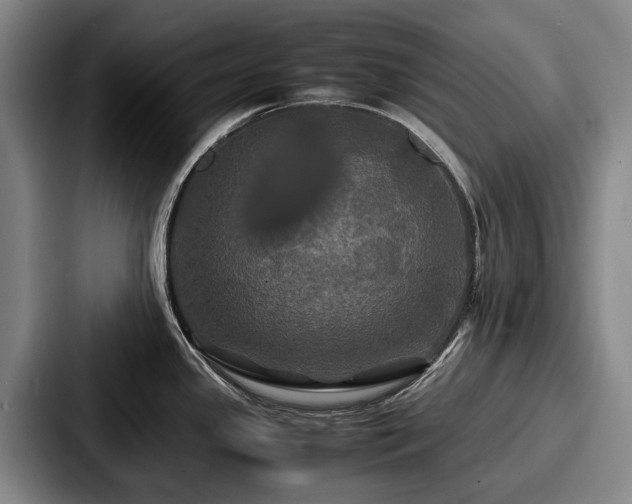 X0000087711341200705111414