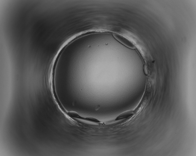 X0000087711343200705111414
