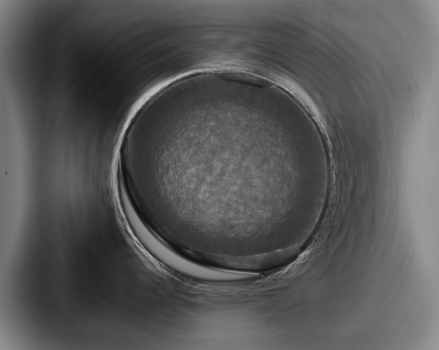 X0000087711344200705111414