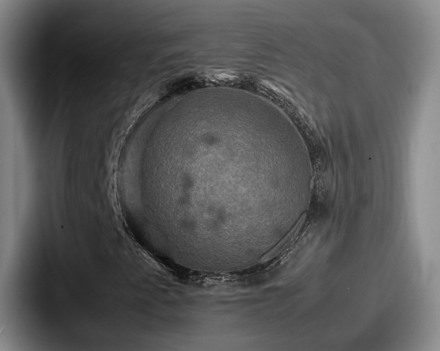 X0000087711345200705111414