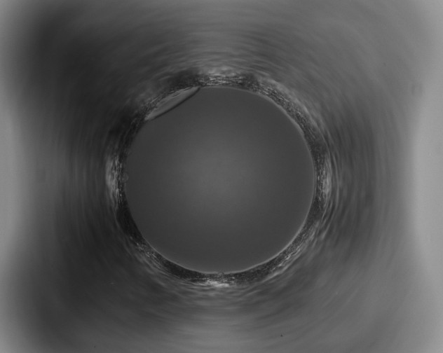 X0000087711346200705111414