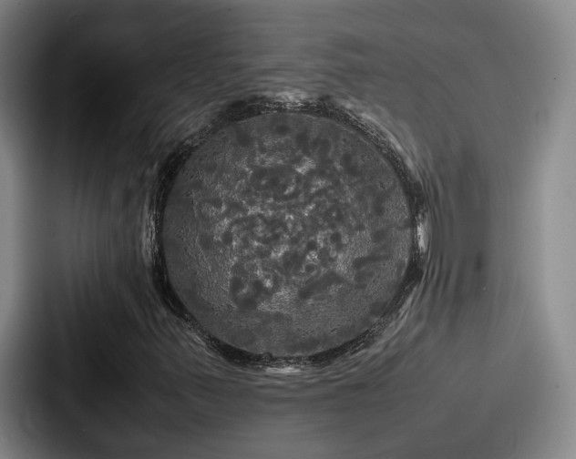 X0000087711347200705111414