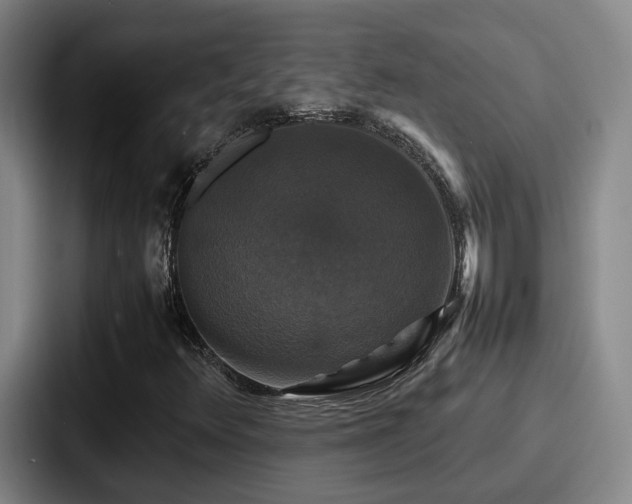 X0000087711348200705111414