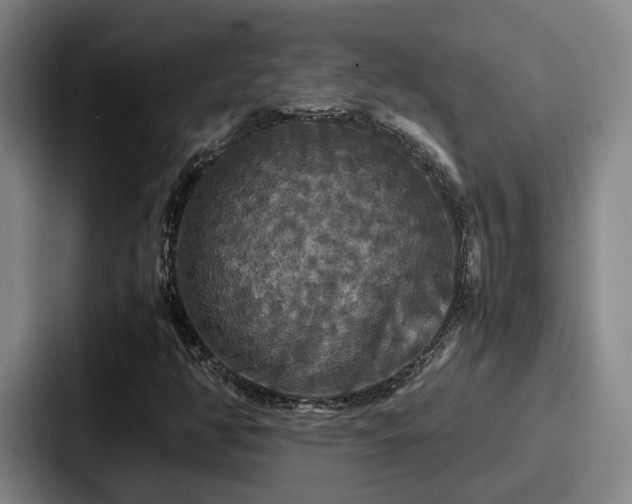 X0000087711350200705111414