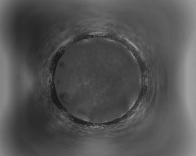 X0000087711351200705111414
