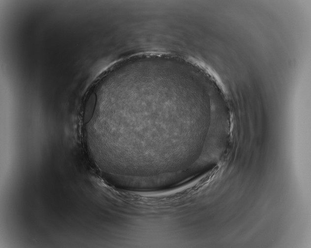 X0000087711352200705111414