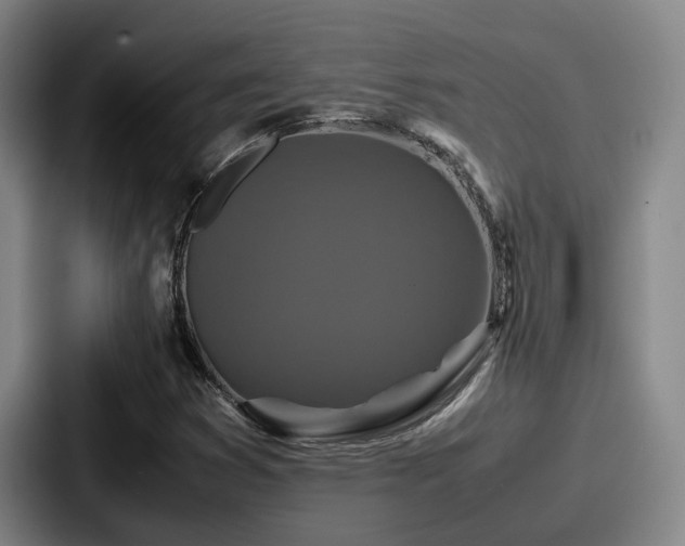 X0000087711353200705111414