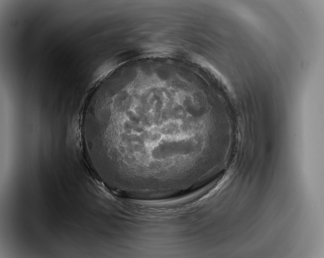 X0000087711354200705111414