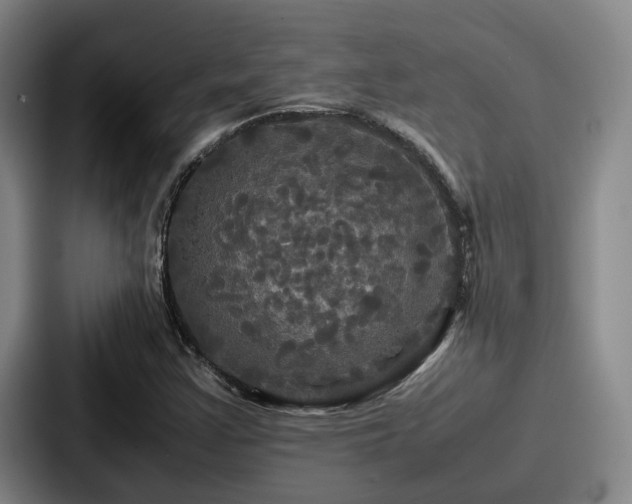 X0000087711355200705111414