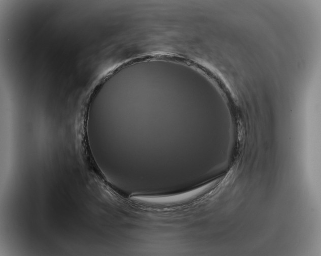 X0000087711359200705111413