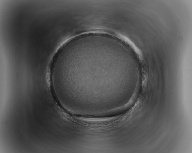 X0000087711360200705111413