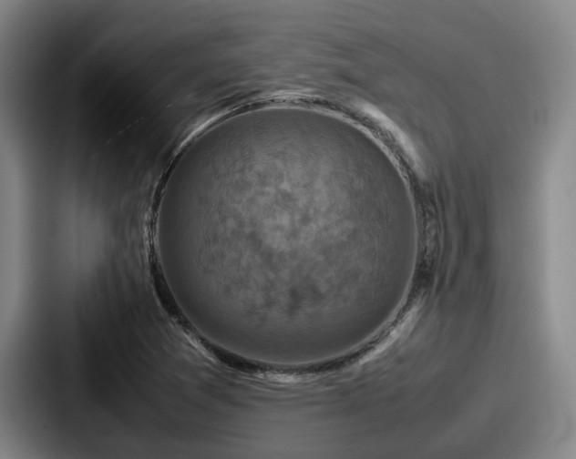 X0000087711361200705111413