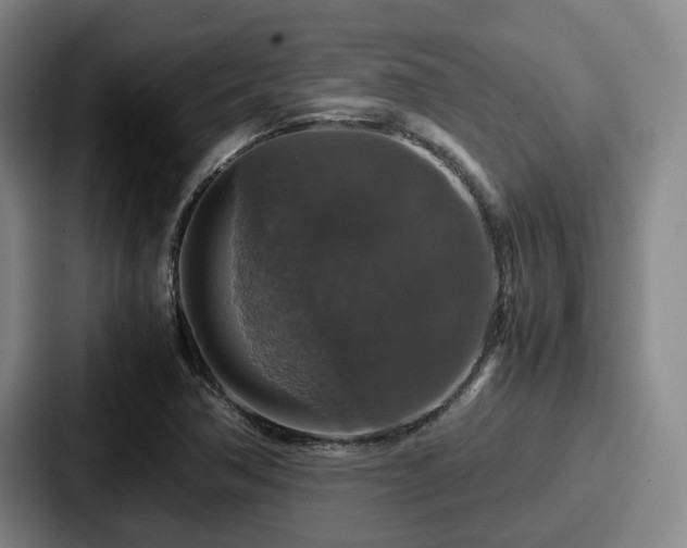 X0000087711362200705111413