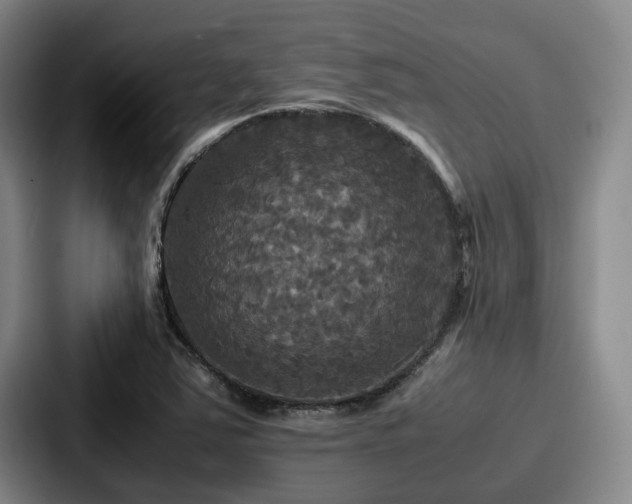 X0000087711363200705111413