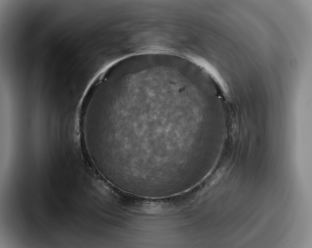 X0000087711364200705111413