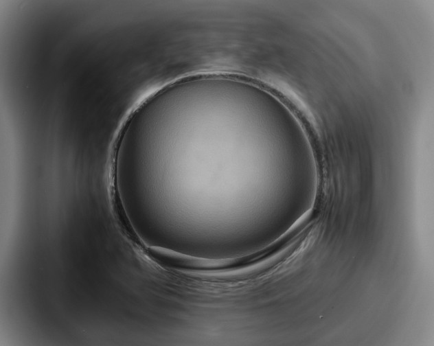 X0000087711366200705111413