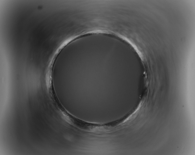 X0000087711367200705111413