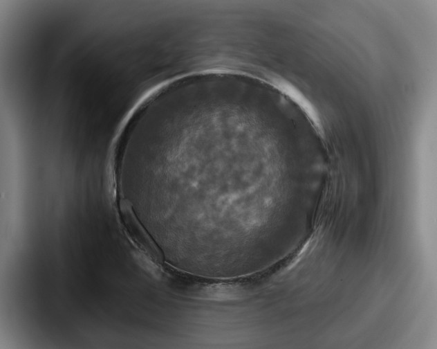 X0000087711368200705111413