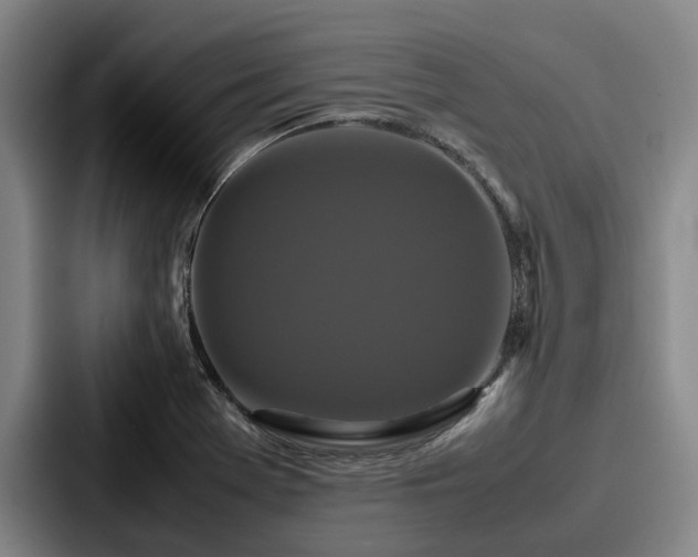 X0000087711369200705111413