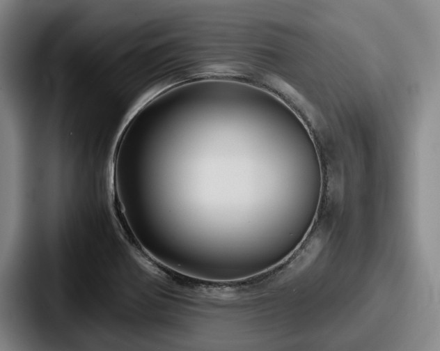 X0000087711370200705111413