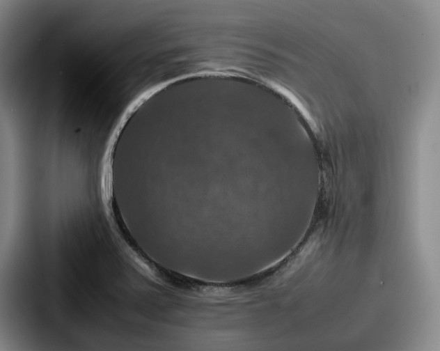 X0000087711371200705111413