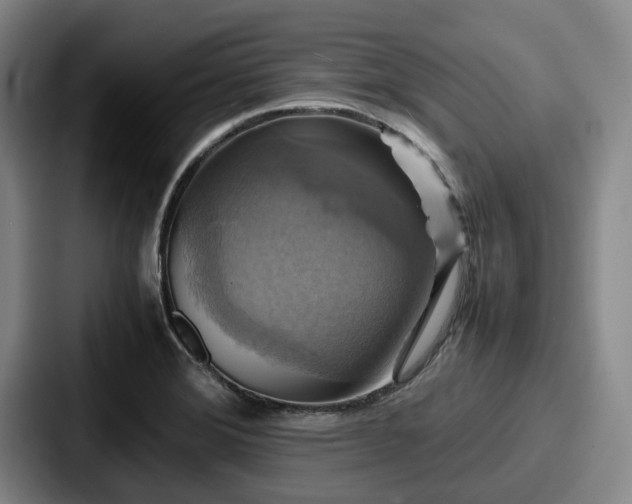 X0000087711372200705111413