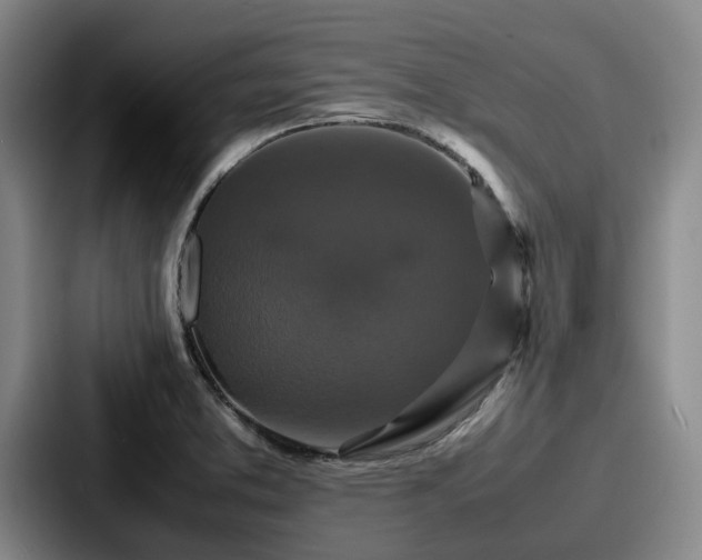 X0000087711373200705111413