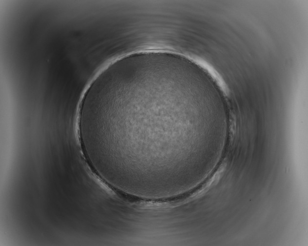 X0000087711374200705111413