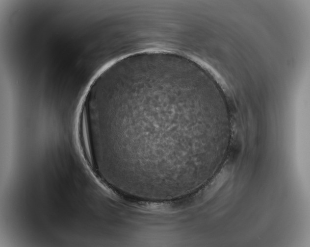 X0000087711375200705111413